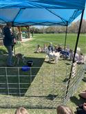 IMG_9766-6