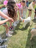 IMG_9799-8