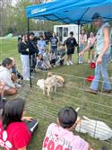 IMG_9845-10